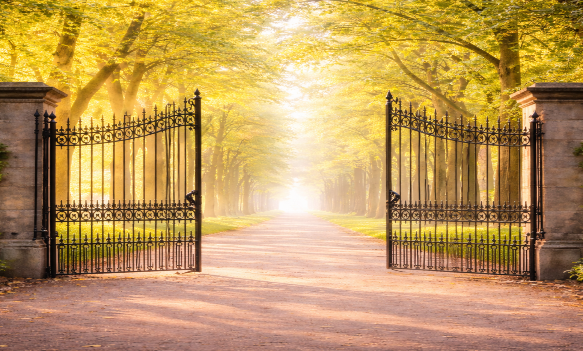 Friedhof Tor mit Blick auf einen lichtdurchfluteten Weg